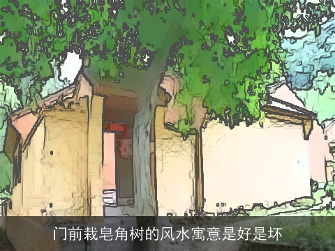 门前栽皂角树的风水寓意是好是坏