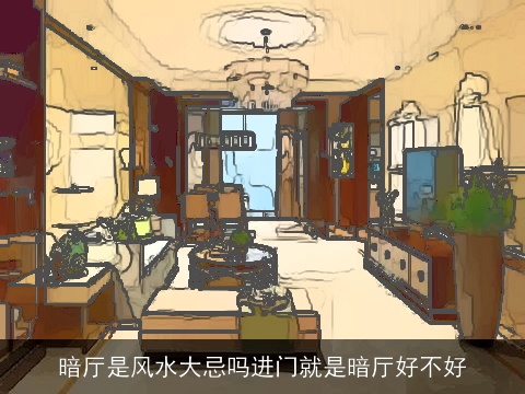 暗厅是风水大忌吗进门就是暗厅好不好