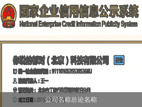 公司名称总论名称