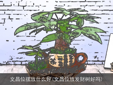 文昌位摆放什么好(文昌位放发财树好吗)