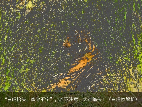 “白虎抬头，家宅不宁”，若不注意，大难临头！（白虎煞解析）