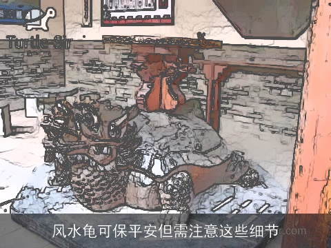 风水龟可保平安但需注意这些细节