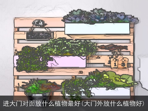 进大门对面放什么植物最好(大门外放什么植物好)