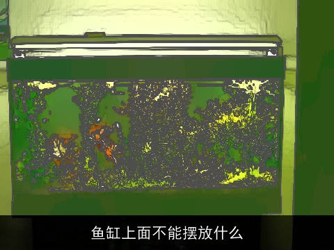 鱼缸上面不能摆放什么