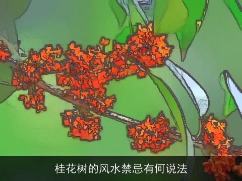 桂花树的风水禁忌有何说法