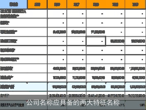 公司名称应具备的两大特征名称