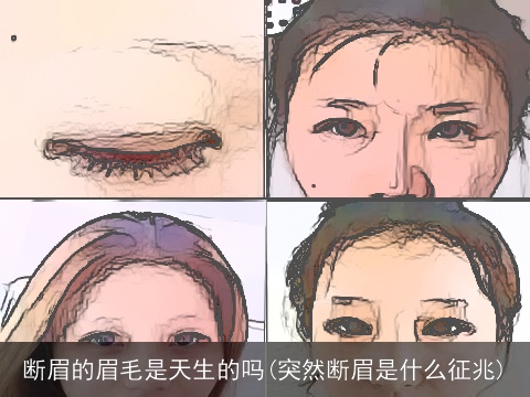 断眉的眉毛是天生的吗(突然断眉是什么征兆)