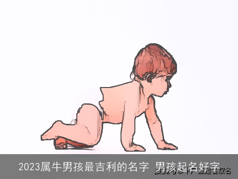 2023属牛男孩最吉利的名字 男孩起名好字