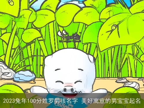 2023兔年100分姓罗男孩名字 美好寓意的男宝宝起名