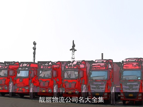 靓丽物流公司名大全集
