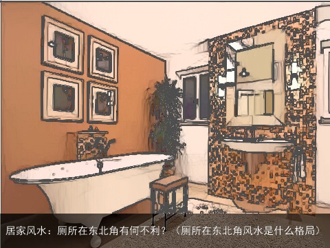 居家风水：厕所在东北角有何不利？（厕所在东北角风水是什么格局）