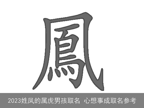 2023姓凤的属虎男孩取名 心想事成取名参考