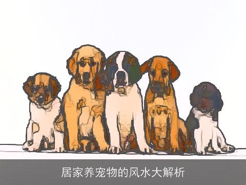 居家养宠物的风水大解析