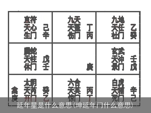 延年星是什么意思(坤延年门什么意思)