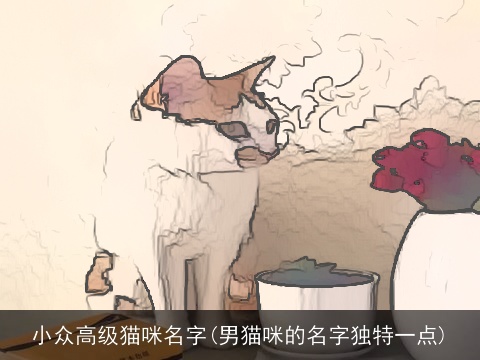 小众高级猫咪名字(男猫咪的名字独特一点)