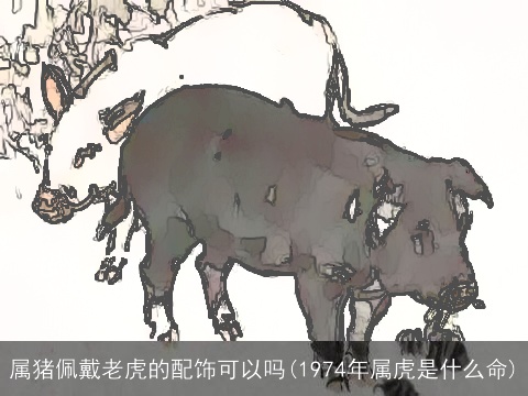 属猪佩戴老虎的配饰可以吗(1974年属虎是什么命)