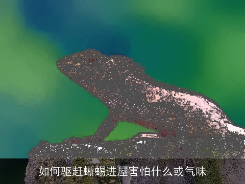 如何驱赶蜥蜴进屋害怕什么或气味