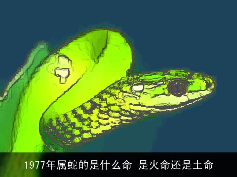 1977年属蛇的是什么命 是火命还是土命