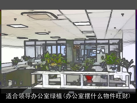 适合领导办公室绿植(办公室摆什么物件旺财)