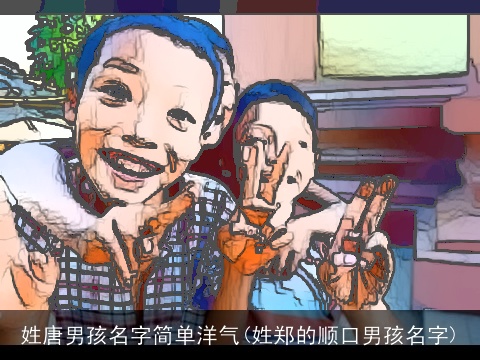 姓唐男孩名字简单洋气(姓郑的顺口男孩名字)