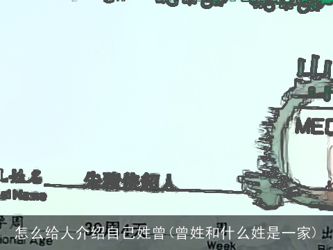 怎么给人介绍自己姓曾(曾姓和什么姓是一家)