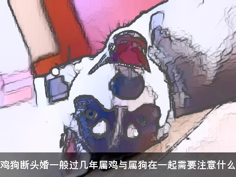 鸡狗断头婚一般过几年属鸡与属狗在一起需要注意什么