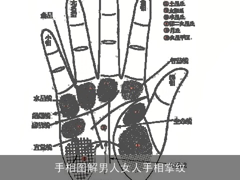 手相图解男人女人手相掌纹