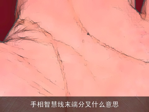手相智慧线末端分叉什么意思