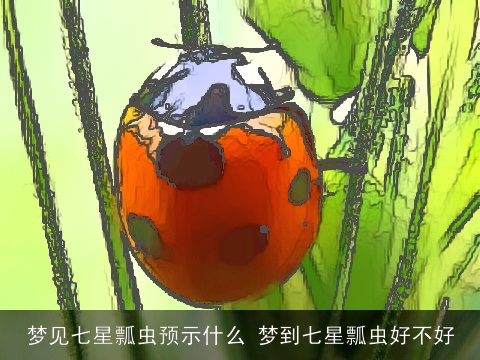 梦见七星瓢虫预示什么 梦到七星瓢虫好不好