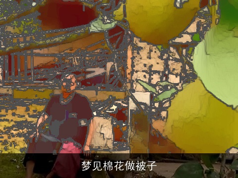 梦见棉花做被子