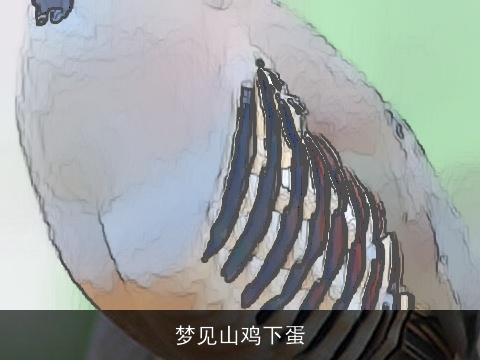 梦见山鸡下蛋