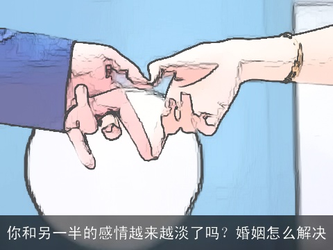 你和另一半的感情越来越淡了吗？婚姻怎么解决