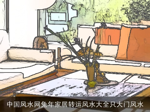 中国风水网兔年家居转运风水大全只大门风水