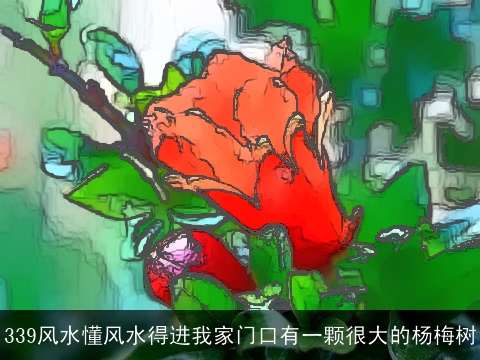 339风水懂风水得进我家门口有一颗很大的杨梅树