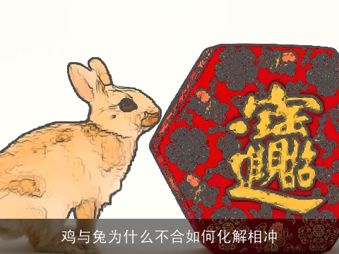 鸡与兔为什么不合如何化解相冲