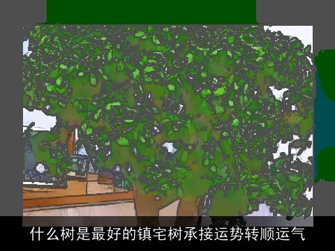 什么树是最好的镇宅树承接运势转顺运气