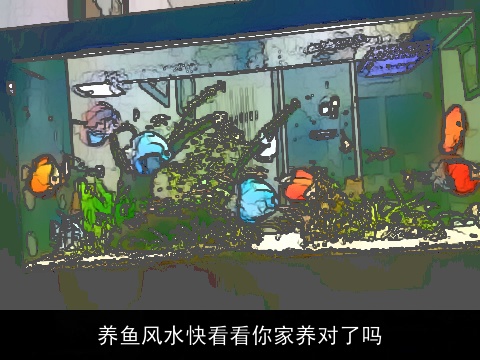 养鱼风水快看看你家养对了吗