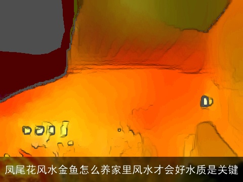 凤尾花风水金鱼怎么养家里风水才会好水质是关键
