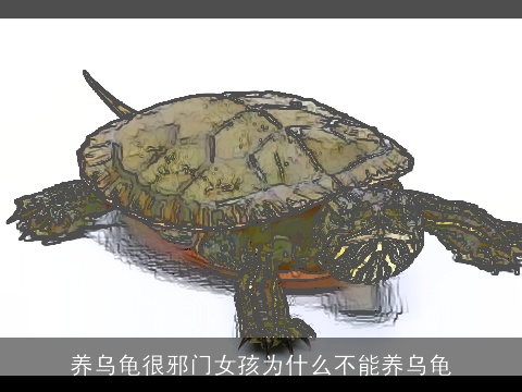 养乌龟很邪门女孩为什么不能养乌龟