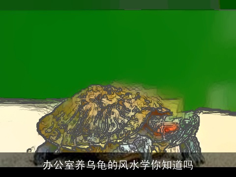 办公室养乌龟的风水学你知道吗