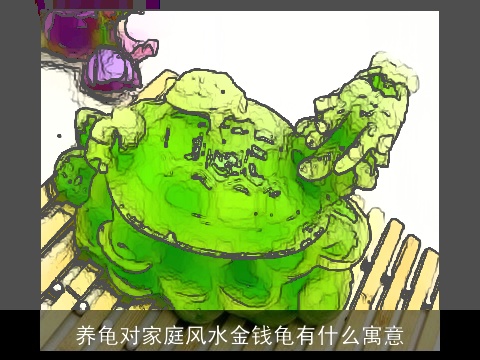 养龟对家庭风水金钱龟有什么寓意