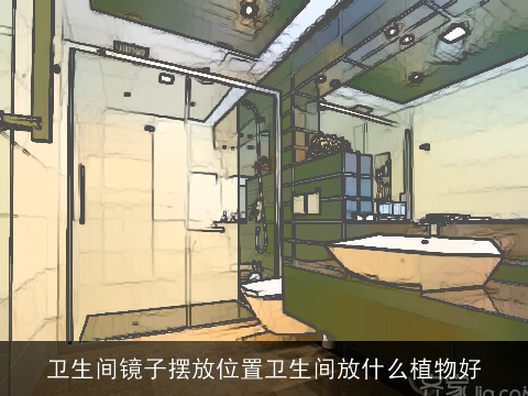 卫生间镜子摆放位置卫生间放什么植物好