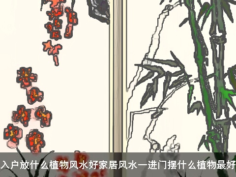 入户放什么植物风水好家居风水一进门摆什么植物最好