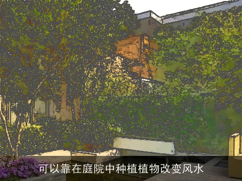 可以靠在庭院中种植植物改变风水