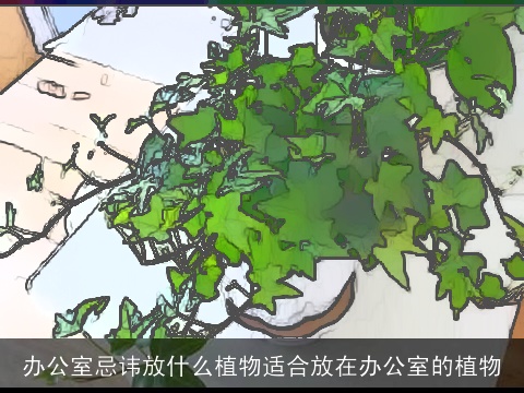 办公室忌讳放什么植物适合放在办公室的植物