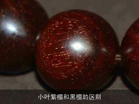 小叶紫檀和黑檀的区别