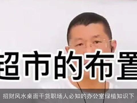 招财风水桌面干货职场人必知的办公室绿植知识下