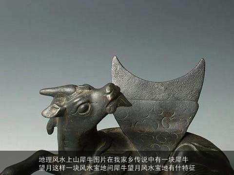 地理风水上山犀牛图片在我家乡传说中有一块犀牛望月这样一块风水宝地问犀牛望月风水宝地有什特征