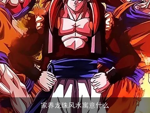 家养龙珠风水寓意什么