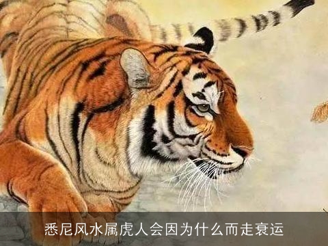 悉尼风水属虎人会因为什么而走衰运